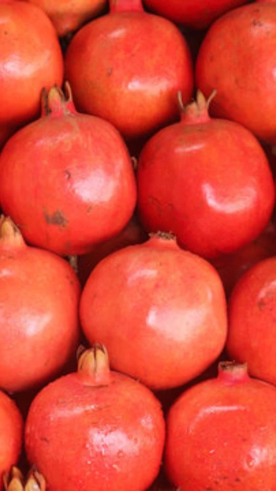 कैंसर जैसी बीमारी होगी दूर, इस फल का करें सेवन