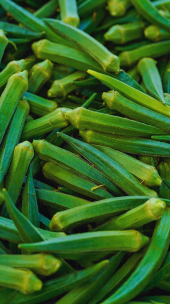 Navratri 2024: चैत्र नवरात्रि पर इन चीजों को न करें, माता हो सकती हैं नाराज