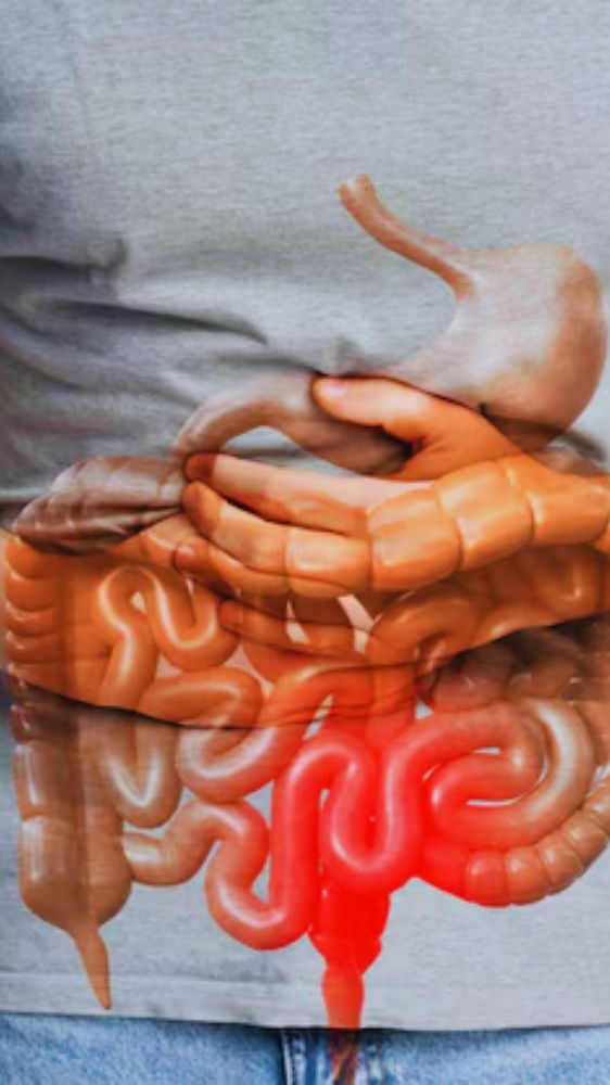 विटामिन-मिनरल्स से भरपूर हरे चने ब्लड शुगर को रखेंगे कंट्रोल