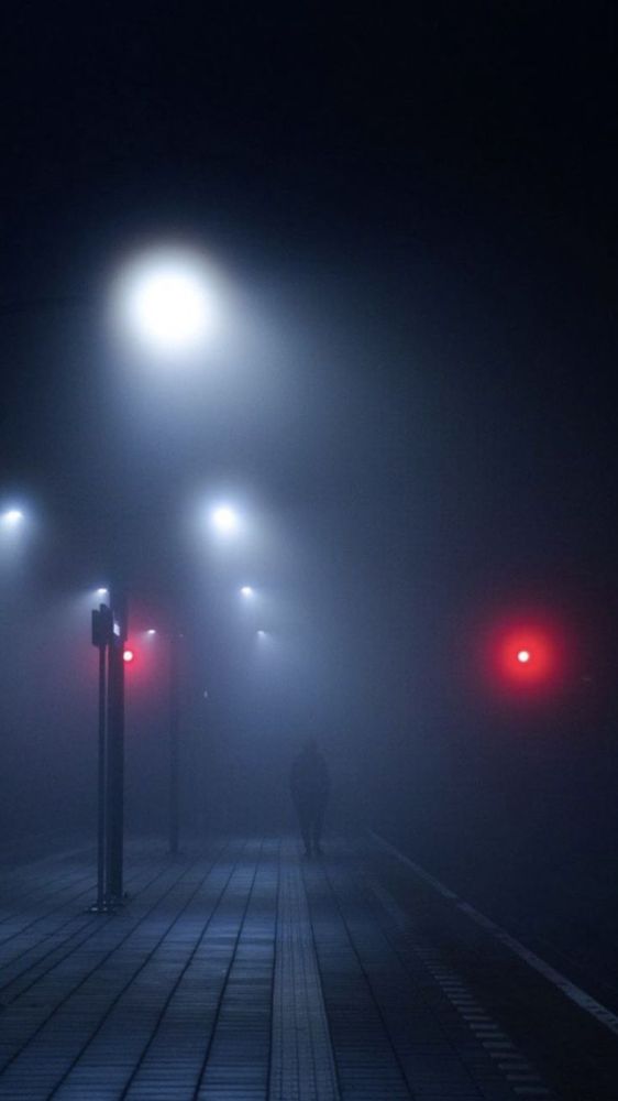 कोहरे में इन 5 बातों का रखे ख्याल, नहीं होगी कोई दुर्घटना