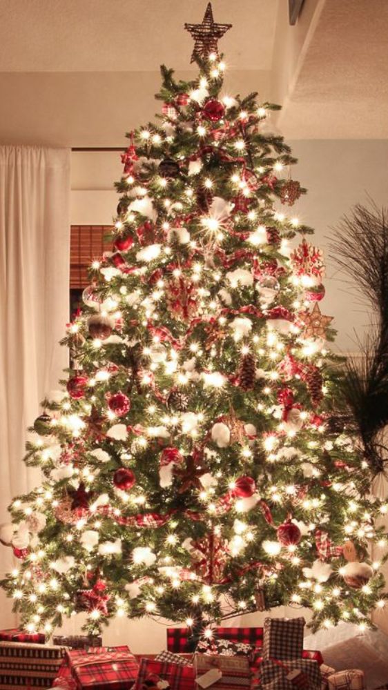 किस दिशा में नहीं रखना चाहिए क्रिसमस ट्री ? जान लिजिए नियम किस दिशा में नहीं रखना चाहिए क्रिसमस ट्री ? जान लिजिए नियम