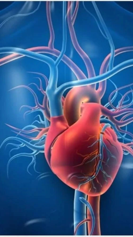 कैंसर जैसी बीमारी होगी दूर, इस फल का करें सेवन