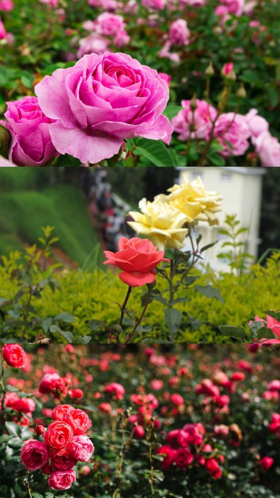 Ayodhya में ये 7 जगह जहां कदम-कदम पर है भगवान का एहसास