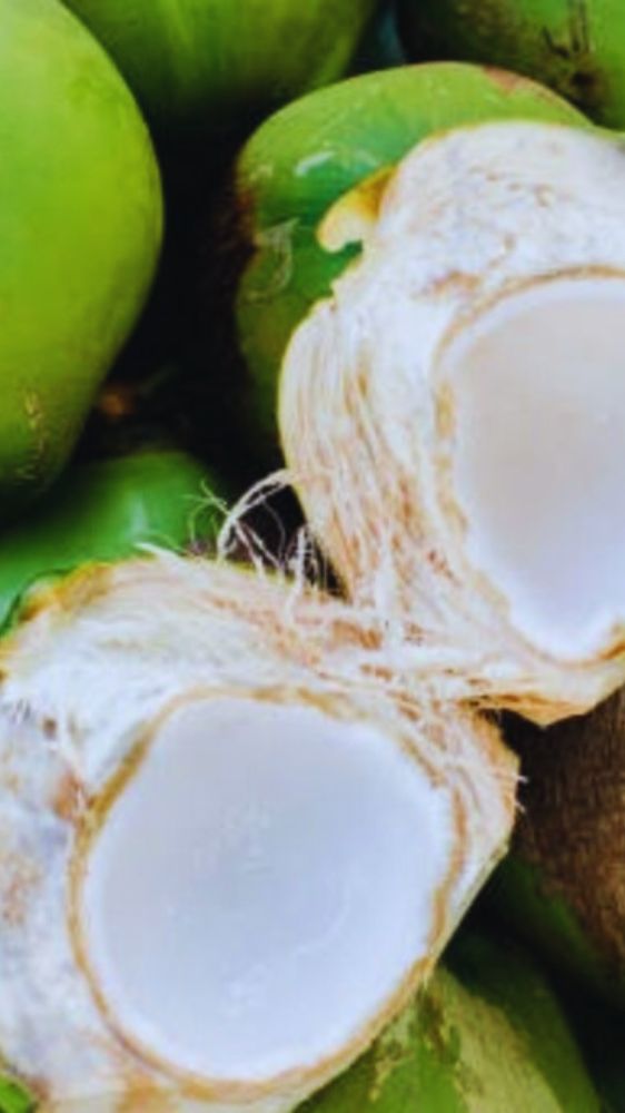नारियल पानी ही नहीं, इसकी मलाई भी है सेहतमंद