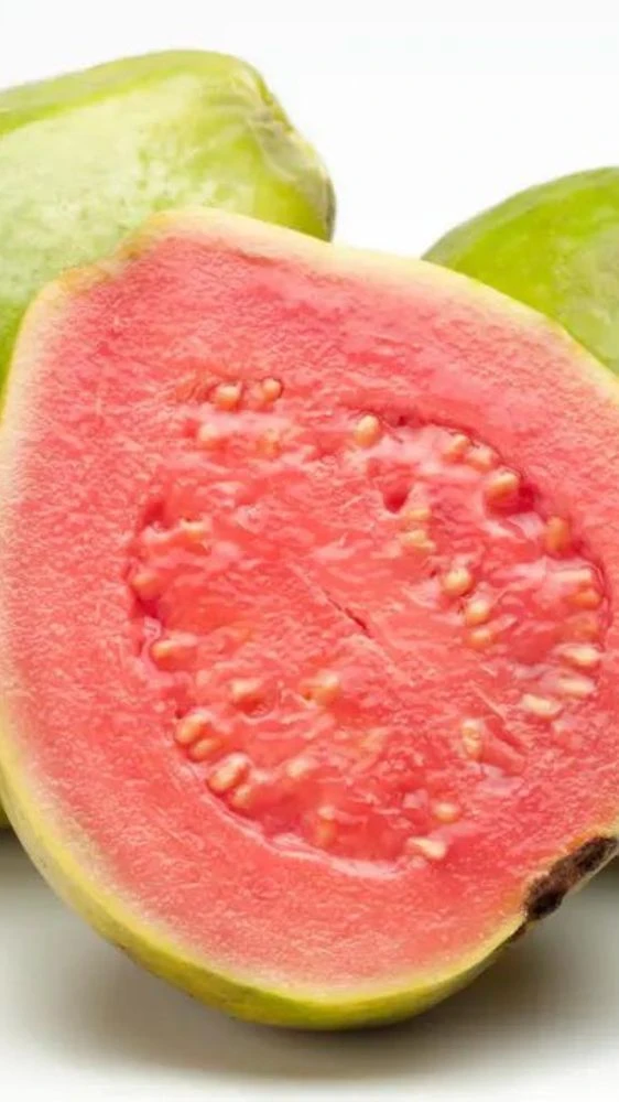 कितना फायदेमंद हमारी सेहत के लिए अमरुद?