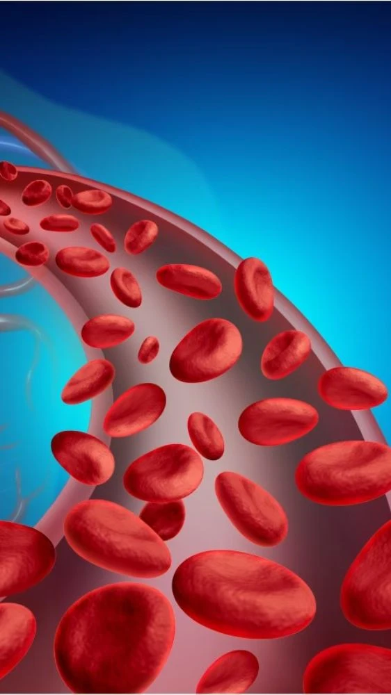 कैंसर जैसी बीमारी होगी दूर, इस फल का करें सेवन