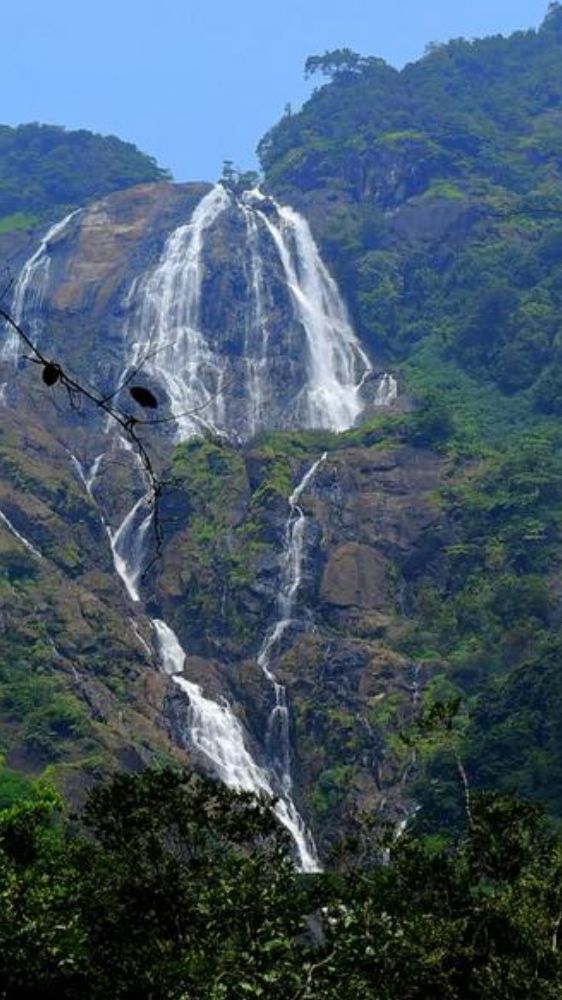 सर्दियों में गोवा घूमने का प्लान बना रहे हैं तो न भूलें यहां जाना