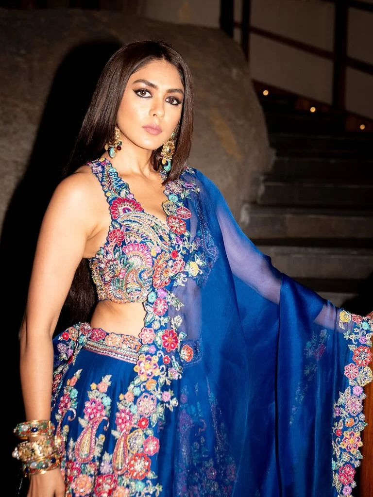 मृणाल ठाकुर ने अपनी हॉटनेस से इंटरनेट पर मचाई धूम, देखिए उनकी Latest Photos