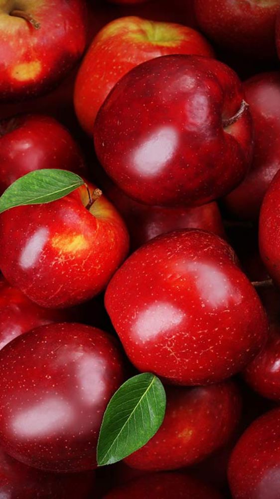 इन फूड्स का करें सेवन, शरीर को मिलेगी झटपट एनर्जी