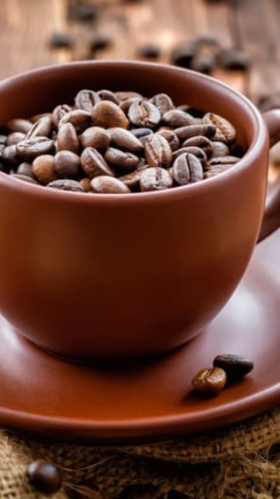 BP के मरीज इस चीज के सेवन से बना लें दूरी BP के मरीज इस चीज के सेवन से बना लें दूरी