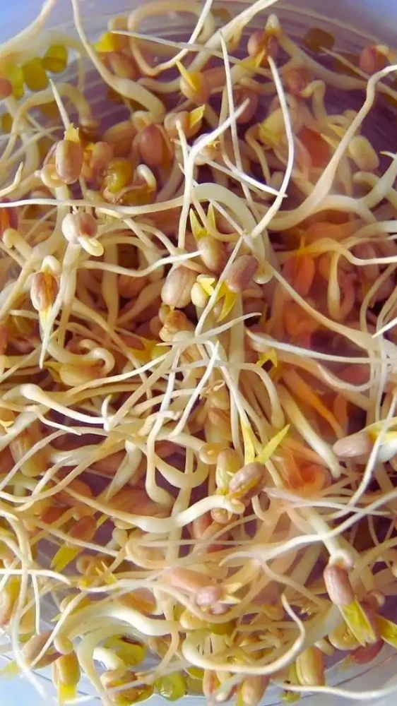 टीनएज लड़के ये डाइट करें फॉलो, शरीर रहेगा तंदुरुस्त