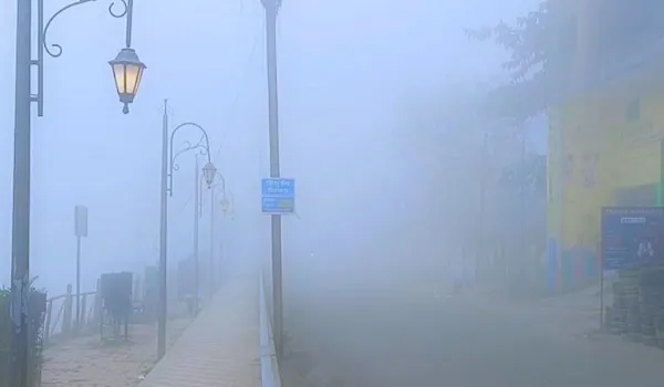 सर्दी ने पकड़ा जोर और घने कोहरे का पहरा, तेज बर्फीली हवाओं से बढ़ने लगी गलन,छूटी धूजणी 
