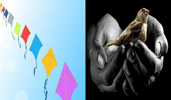 मकर संक्रांति पर पक्षी सुरक्षा को लेकर अलर्ट, होप एंड बियोंड बर्ड ट्रीटमेंट कैंप किया शुरू