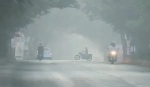 राजस्थान में कड़ाके की ठंड और शीतलहर ने छुड़ाई धूजणी, मौसम विभाग का 14 जिलों में अलर्ट