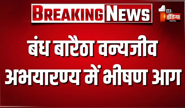 बंध बारैठा वन्यजीव अभयारण्य में भीषण आग, पुलिस चौकी के सामने धधक उठा जंगल, 10 से 15 बीघा वन क्षेत्र स्वाहा