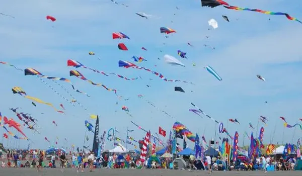 सड़कें सूनी, छतें आबाद, सतरंगी हुआ आसमां... दुनियाभर में प्रसिद्ध गुलाबी नगरी की पतंगबाजी परवान पर