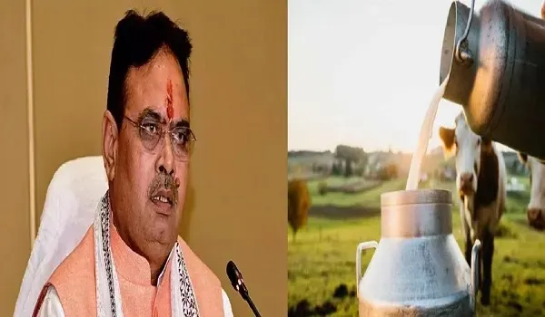 मुख्यमंत्री दुग्ध संबल योजना की राशि की होगी डीबीटी, राजस्थान के 4 लाख पशुपालकों के खाते में पहुंचेगी दिसंबर माह की राशि