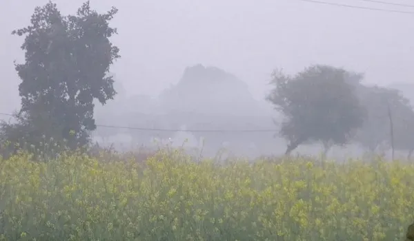 जयपुर में "मावठ" की दस्तक, राजस्थान में एक्टिव हुआ पश्चिमी विक्षोभ, बारिश और तेज हवाओं से बढ़ी ठिठुरन 