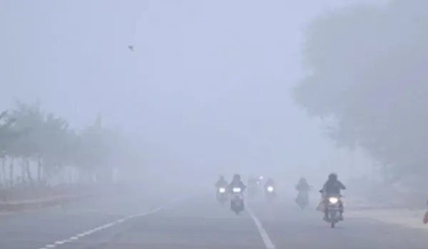 राजस्थान में हाडकंपा देने वाली सर्दी का सितम, मावठ के बाद से कड़ाके की ठंड और गलन ने छुड़ाई धूजणी 