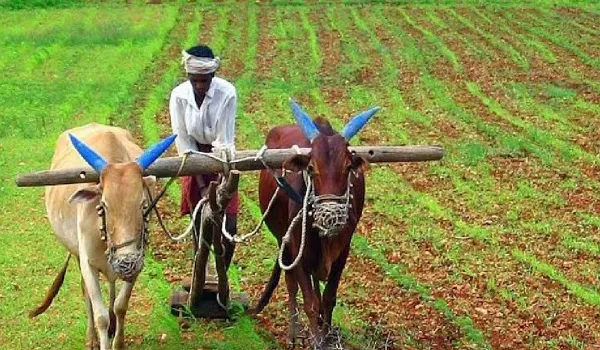 Union Budget 2025: किसानों के लिए 'धनधान्य योजना' का ऐलान, किसान क्रेडिट कार्ड की लिमिट बढ़कर हुई 5 लाख