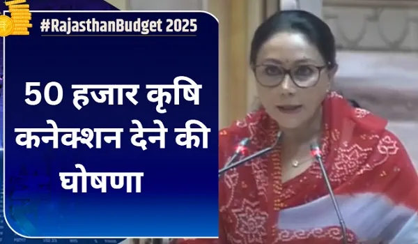 Rajasthan Budget 2025: बजट पेश कर रहीं वित्त मंत्री दीया कुमारी की बड़ी घोषणा, 50 हजार कृषि कनेक्शन देने की घोषणा  