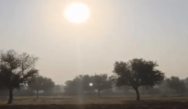 राजस्थान में अब भी सुबह-शाम की हल्की सर्दी का बना हुआ जोर, 48 घंटे के दौरान 2 से 4 डिग्री तक बढ़ेगा दिन का पारा