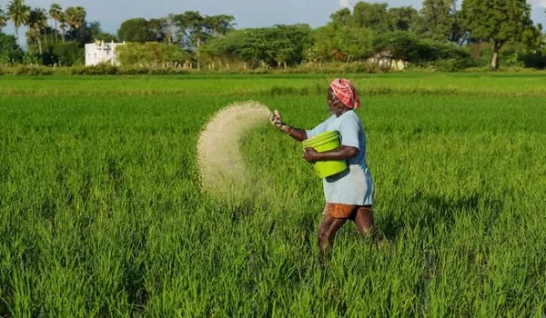 Rajasthan Budget 2026: किसानों के लिए बड़ी घोषणाएं, ब्याज माफी' का बड़ा तोहफा, 2.5 लाख को मिलेंगे फ्री बीज, जानें बजट में क्या मिला ?