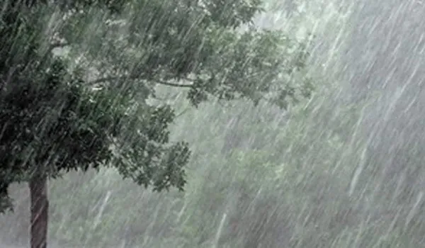 राजस्थान के कई इलाकों में आंधी और बारिश, जल संसाधन विभाग ने जारी किया बारिश का आंकड़ा