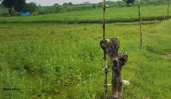 डीडवाना : करंट लगने से 2 किसानों की हुई मौत, खेत में कृषि कार्य करने के दौरान दोनों आए करंट की चपेट में