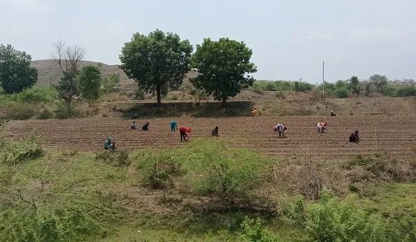 खरीफ-2025 की बुआई का आंकड़ा जारी, अनाज की बुआई लक्ष्य के मुकाबले 75 प्रतिशत
