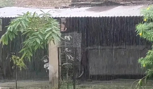 सावन महीने में इंद्रदेव मेहरबान... मौसम सुहाना, राजधानी जयपुर में अलसुबह से बारिश का दौर जारी
