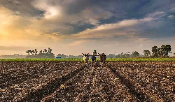 मानसून की बारिश के बाद खरीफ सीजन की बुवाई शुरू, जिले में 1 लाख 28 हजार हेक्टेयर में बुवाई का लक्ष्य