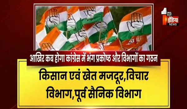 VIDEO: आखिर भंग पड़े प्रकोष्ठ औऱ विभाग कब होंगे गठित, 12 विभाग और प्रकोष्ठ पिछले 6 साल से पड़े है भंग, देखिए ये खास रिपोर्ट