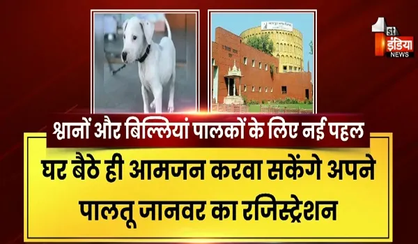 नगर निगम की नई पहल, 2 अगस्त को पालतू डॉग्स और बिल्लियों के लिए फ्री वैक्सीनेशन कैंप, देखिए खास रिपोर्ट