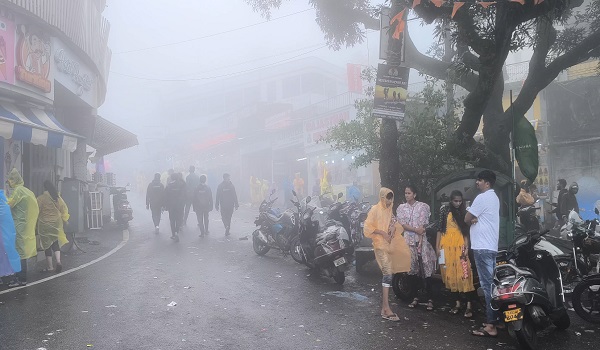 खूबसूरत हुई माउंट आबू की वादियां, झमाझम बारिश से गुलजार हुए प्राकृतिक झरने, वीकेंड पर पर्यटकों का सैलाब