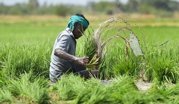 प्रधानमंत्री फसल बीमा योजना की नवीन निविदा से किसानों को बड़ी राहत, YES&TECH तकनीक को प्रभावी रूप से किया शामिल