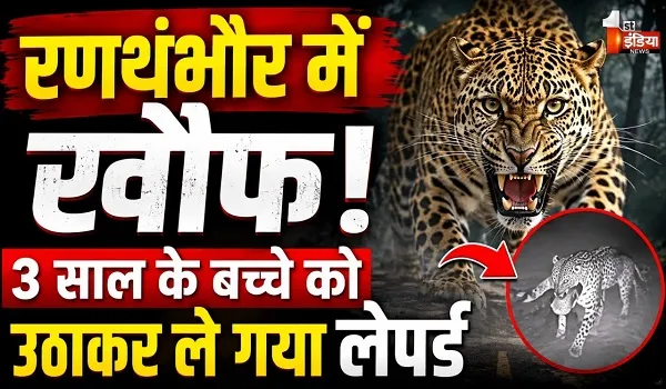 रणथंभौर राष्ट्रीय उद्यान वन क्षेत्र में पैंथर ने किया हमला, 3 साल के बालक को परिजनों के बीच से मुंह मे दबोच ले गया