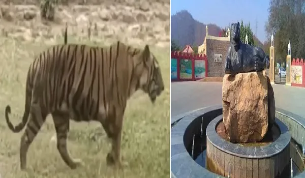 नाहरगढ़ बायोलॉजिकल पार्क में बाग के हमले में महिला की मौत का प्रकरण, मृतका के परिजन बैठे धरने पर, शव को पोस्टमार्टम के लिए भेजने से इनकार