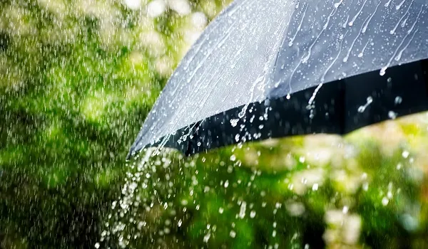 राजस्थान से जुड़ी मानसून की ताजा अपडेट, प्रदेश में एक सप्ताह तक कमजोर रहेगी मानसूनी गतिविधियां