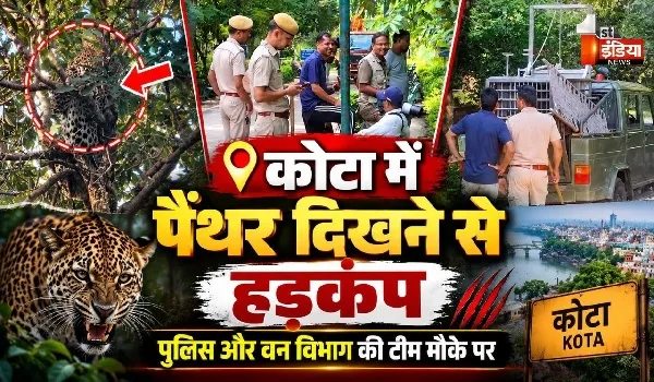 कोटा में पैंथर की दहशत का अंत, सीवी गार्डन में सफलतापूर्वक किया गया रेस्क्यू, शहर के बीचोंबीच पैंथर की दस्तक ने खड़े किए सवाल