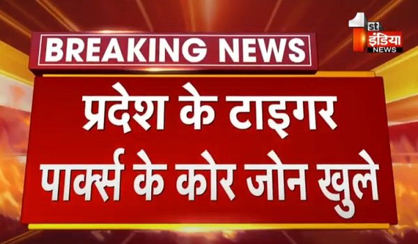 VIDEO: राजस्थान के टाइगर पॉर्क के कोर जोन खुले, रणथम्भौर और सरिस्का में पहले दिन सफारी हाउसफुल