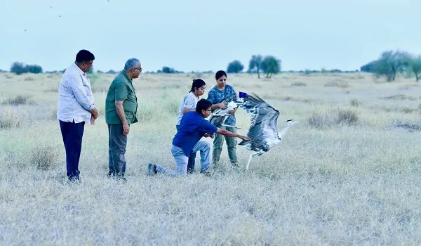 खुले आसमान में परिंदों ने भरी 'उड़ान' , गोडावण संरक्षण की दिशा में आज बड़ी पहल हुई साकार, जैसलमेर में पहली बार दो गोडावण खुले जंगल में छोड़े गए