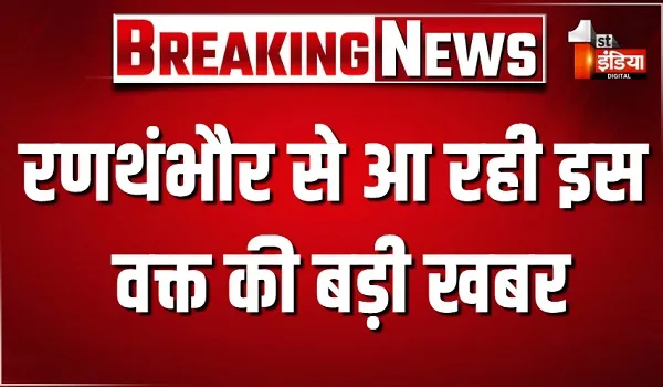 रणथंभौर से आ रही इस वक्त की बड़ी खबर, रणथंभौर में बाघ T-108 के चेहरे पर चोट के निशान मिलने से वन विभाग अलर्ट