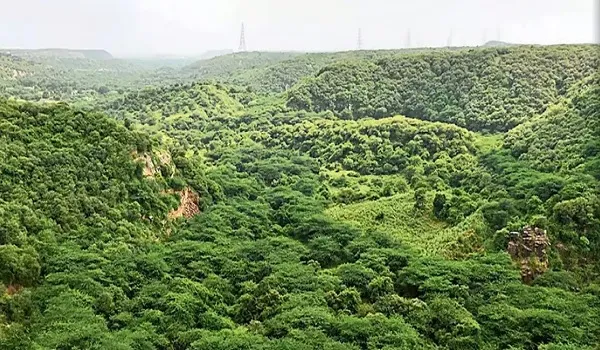 अरावली पर्वतमाला संरक्षण के लिए राजस्थान सरकार गंभीर, 20 जिलों में अवैध खनन गतिविधियों के खिलाफ संयुक्त अभियान