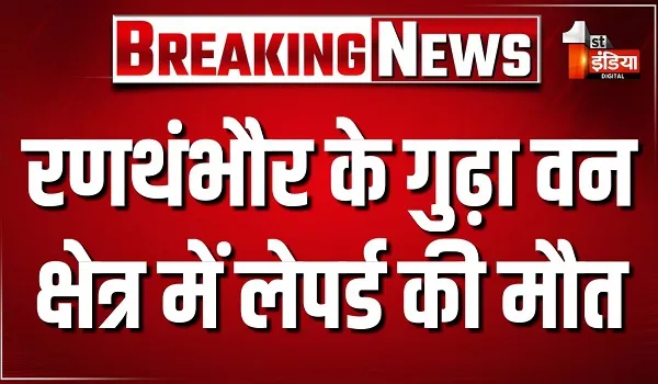 रणथंभौर के गुढ़ा वन क्षेत्र में लेपर्ड की मौत, पोस्टमार्टम रिपोर्ट में मृत्यु का प्राथमिक कारण बताया गया शॉक