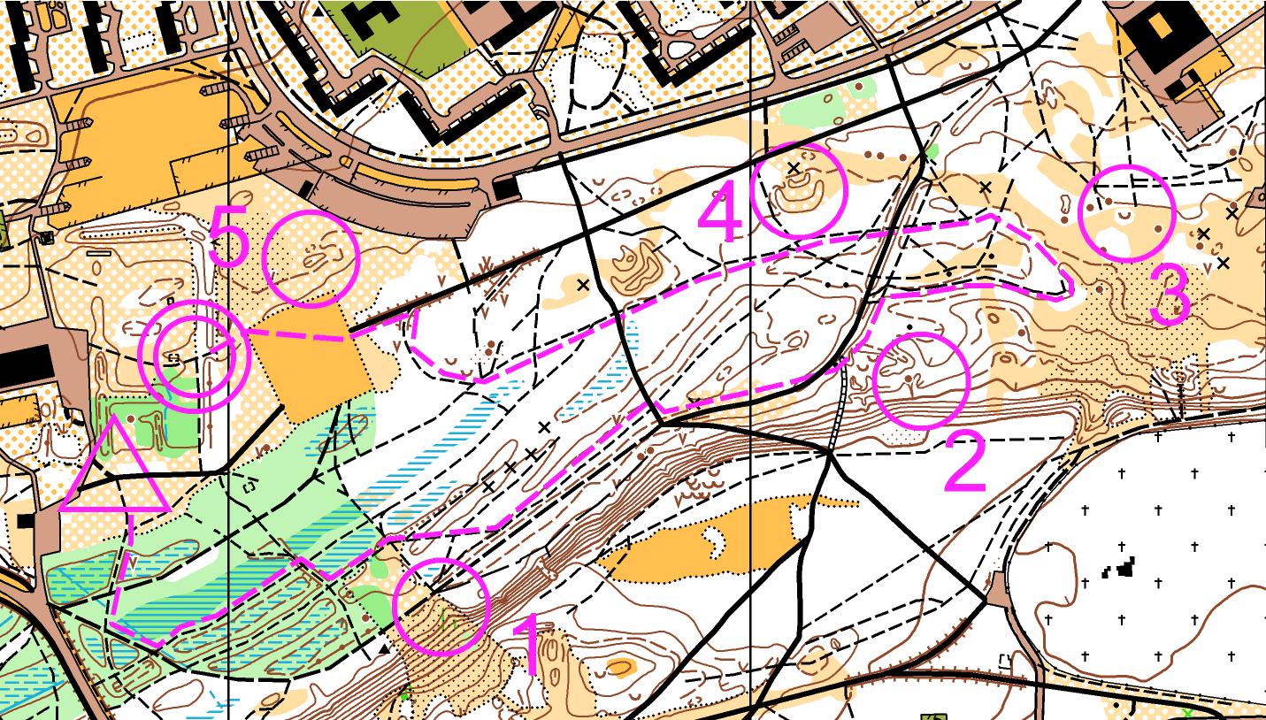 A small section of an orienteering map.