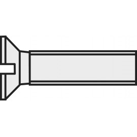 Toolcraft süllyesztett fejű, egyenes hornyú műanyag csavar, M6 x 20 mm, DIN 963, 10 db 839958