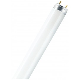 Fénycső, energiatakarékos izzó, G13, 36 W, nappalifény fehér, cső forma, Osram Master TL-D Super80