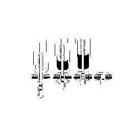 PB Fastener R-LOK műanyag vak szegecs 4.9 x 20.0 x 48.0 x 1.8 x 2.9 x 12.0 mm Lemezméret 3.0 - 6.0 m 2. kép