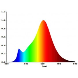 Sygonix LED E27 Körte forma 6 W = 60 W Melegfehér (Ø x H) 60 mm x 105 mm EEK: A++ Filament 1 db 2. kép